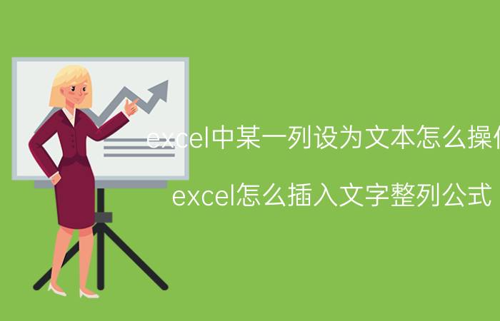 excel中某一列设为文本怎么操作 excel怎么插入文字整列公式？